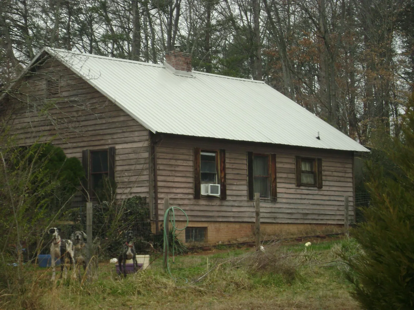White metal roof on an old wood sided farmhouse, from a Asphalt Shingle Roof Repair job in Three Forks